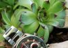 Pulsar PX5 solar chrono – kis testvér, nagy méretek Pulsar PX5